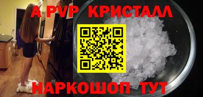 СК Новодвинск