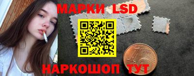 СК Новодвинск