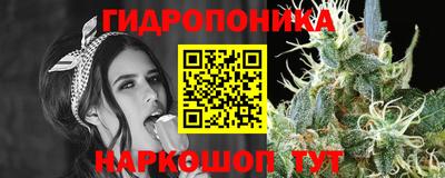 соль ск Новозыбков