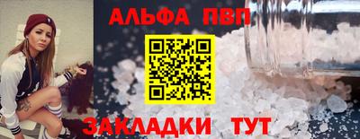 СК Новодвинск