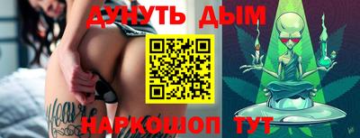 СК Новодвинск