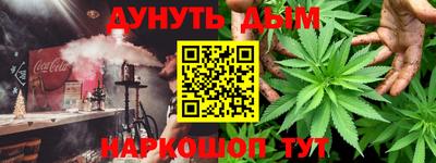 соль ск Новозыбков
