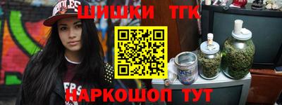 СК Новодвинск