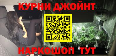 СК Новодвинск