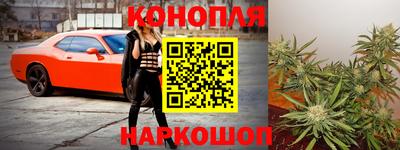 соль ск Новозыбков