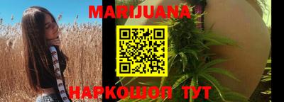 СК Новодвинск
