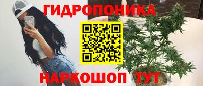 a pvp Новокубанск