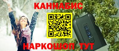 соль ск Новозыбков