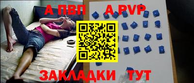 СК Новодвинск
